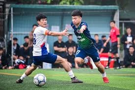 2026世界杯中国球迷的热情与期待